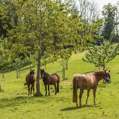 Hof Wagenberg 1